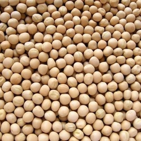 Satyam Vatana Safed 500 Gm