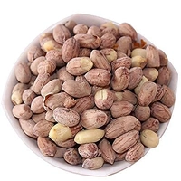 BHARUCHPEANUTS UNPEELED SALTED