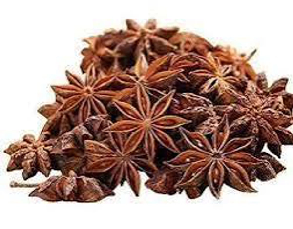 BAAVARCHI BADIYAN 100gm