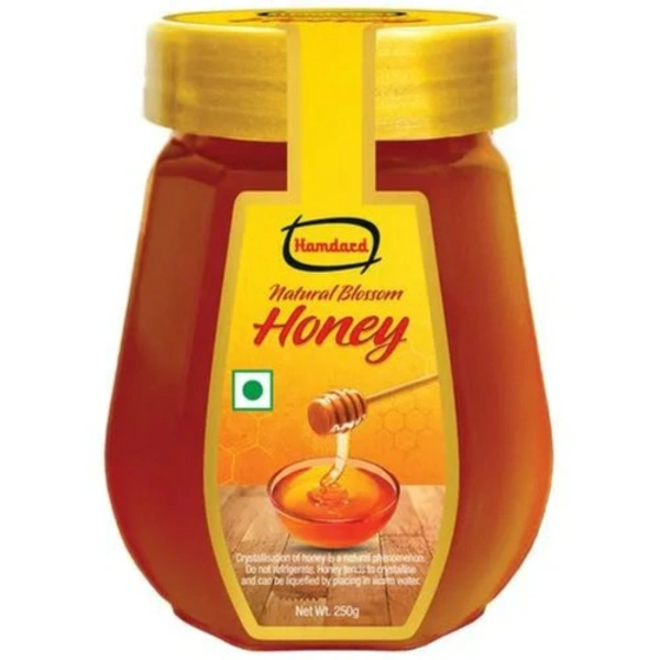 HAMDARD HONEY 250G