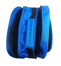 PBH P032 PICTURE 16*12*5 Inches BACKPACK - 16*12*5, BLUE
