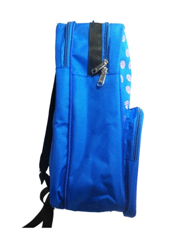 PBH P032 PICTURE 16*12*5 Inches BACKPACK - 16*12*5, BLUE