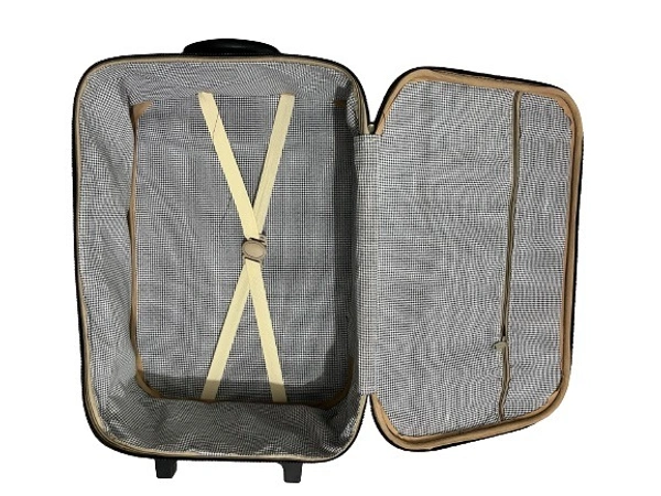 pbh PBH P028 Trolly Bag - 20*16*8 Inches, Purple