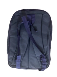 PBH P037 Small Unisex Backpack For Kids 14*12*5 Inches - 14*12*5 Inches, Blue