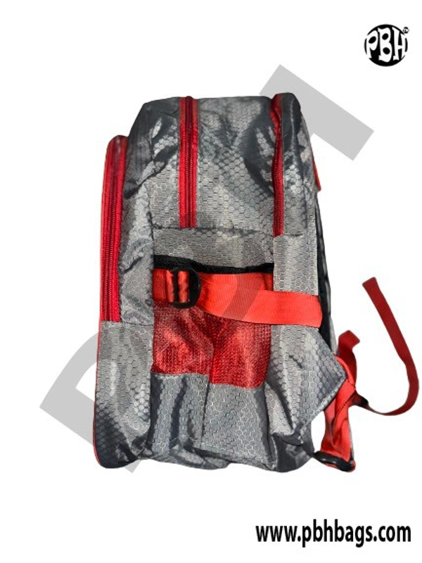 PBH P042 14*12*6 Inches For Schools Backpacks 5 Liters - 14*12*6 Inches, Gray Red