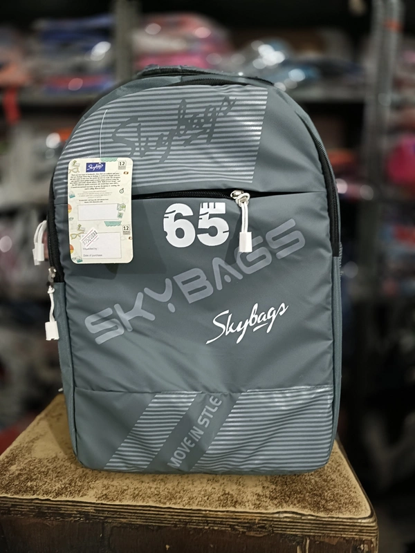 SKYBAGS PBH P086 18*14*8 Laptop BACKPACK For School College And Casual - 18*14*8, Silver