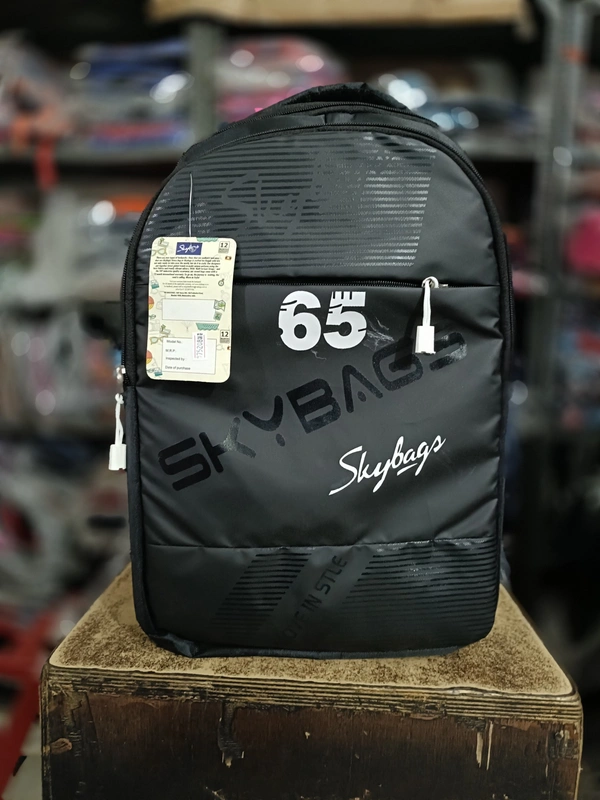 SKYBAGS PBH P086 18*14*8 Laptop BACKPACK For School College And Casual - 18*14*8, Black