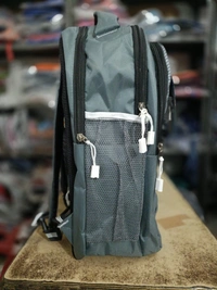 SKYBAGS PBH P086 18*14*8 Laptop BACKPACK For School College And Casual - 18*14*8, Silver