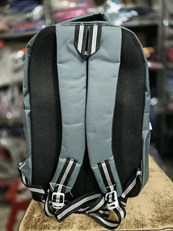 SKYBAGS PBH P086 18*14*8 Laptop BACKPACK For School College And Casual - 18*14*8, Silver