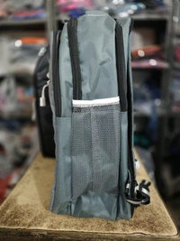 SKYBAGS PBH P086 18*14*8 Laptop BACKPACK For School College And Casual - 18*14*8, Silver