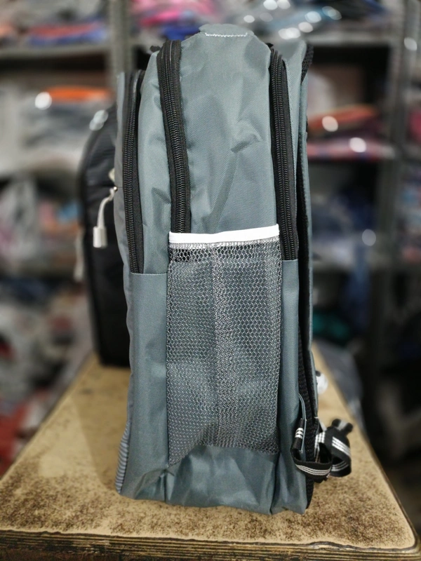 SKYBAGS PBH P086 18*14*8 Laptop BACKPACK For School College And Casual - 18*14*8, Silver