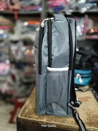 SKYBAGS PBH P095 SKYBAG 18*14*7 Lower Padded Backpack - 18*14*7, Silver