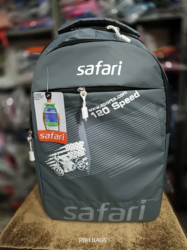 SKYBAGS PBH P095 SKYBAG 18*14*7 Lower Padded Backpack - 18*14*7, Silver