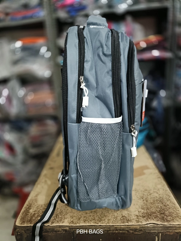 SKYBAGS PBH P095 SKYBAG 18*14*7 Lower Padded Backpack - 18*14*7, Silver