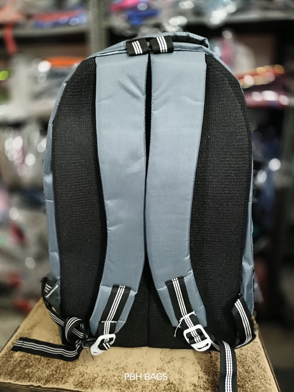 SKYBAGS PBH P095 SKYBAG 18*14*7 Lower Padded Backpack - 18*14*7, Silver