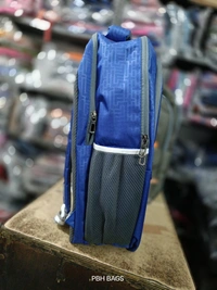 Reebok PBH P085 Raincover LAPTOP 18*14*6 Backpacks - 18*14*6, Blue