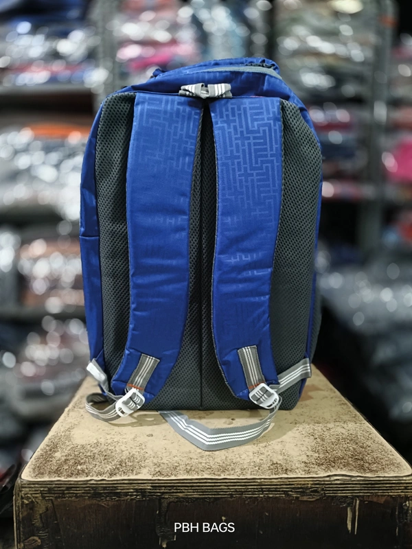 Reebok PBH P085 Raincover LAPTOP 18*14*6 Backpacks - 18*14*6, Blue