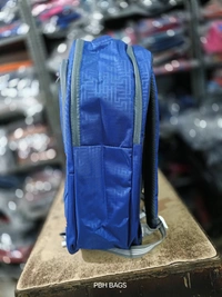 Reebok PBH P085 Raincover LAPTOP 18*14*6 Backpacks - 18*14*6, Blue