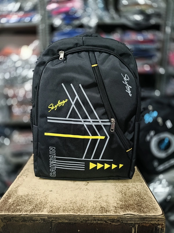 SKYBAGS PBH P034 - 4 20*15*8 Large durable SKYBAGS Backpack - 20*15*8, Black