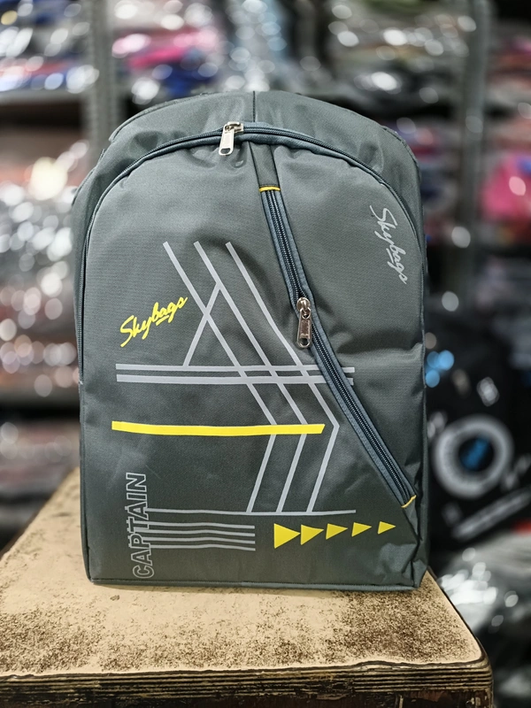 SKYBAGS PBH P034 - 4 20*15*8 Large durable SKYBAGS Backpack - 20*15*8, GREY