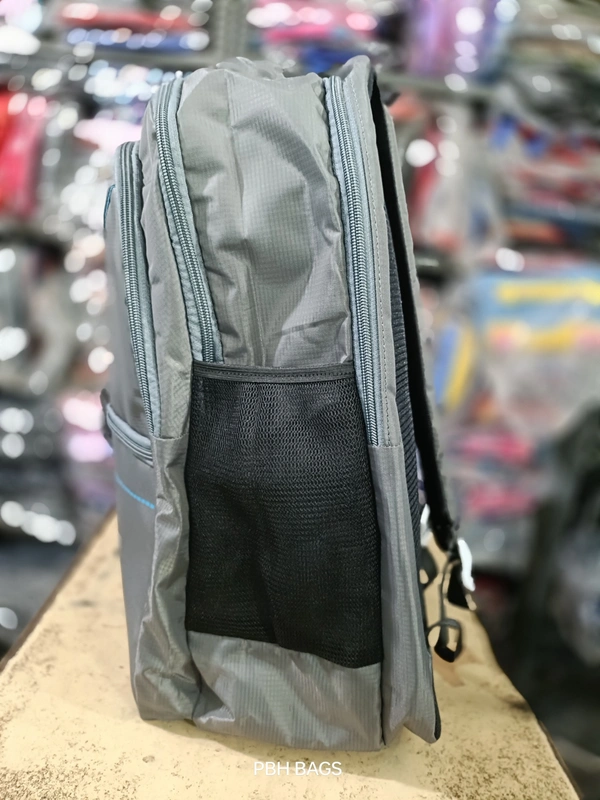 PBH P0169 18*14*6 Laptop Soft BACKPACK - 18*14*6, Celeste