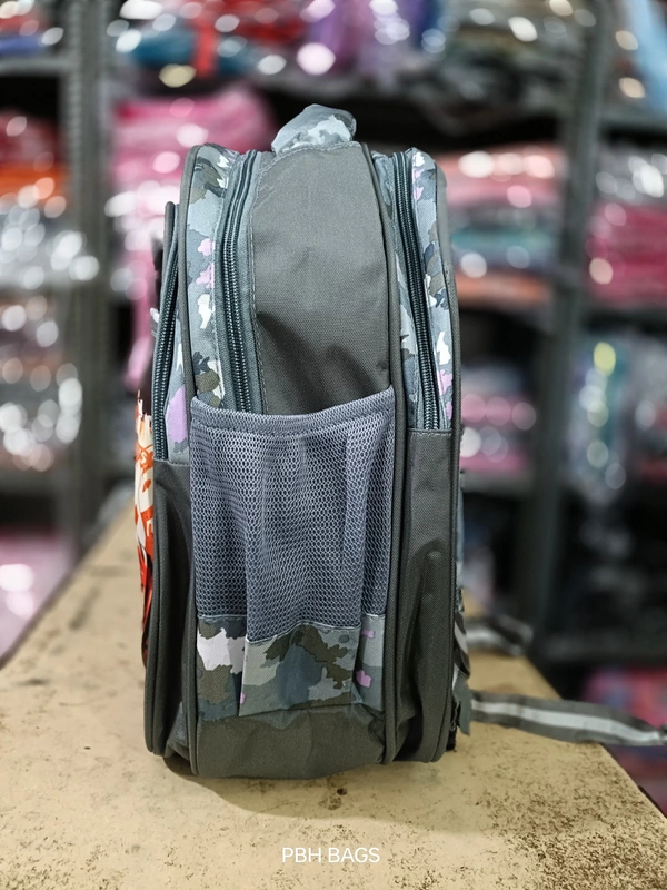 PBH Pbh P186 16*12*6 Picture Hard School Backpacks - 16*12*6, Friar Gray