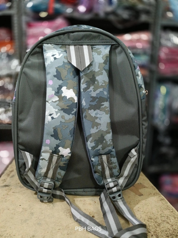 PBH Pbh P186 16*12*6 Picture Hard School Backpacks - 16*12*6, Friar Gray