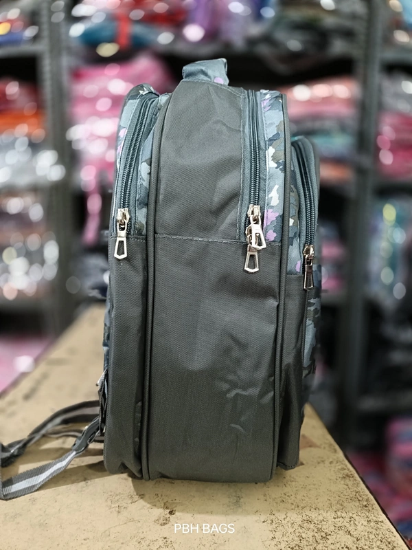 PBH Pbh P186 16*12*6 Picture Hard School Backpacks - 16*12*6, Friar Gray