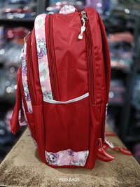 PBH Pbh P177 18*14*7 Lower Padded Soft Backpacks - 18*14*7, Alizarin Crimson