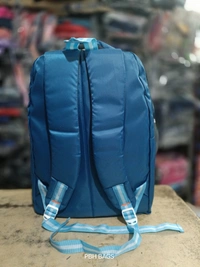PBH P0189 16*14*6 Soft Lower Padded School Backpack - 16*14*6, Dodger Blue