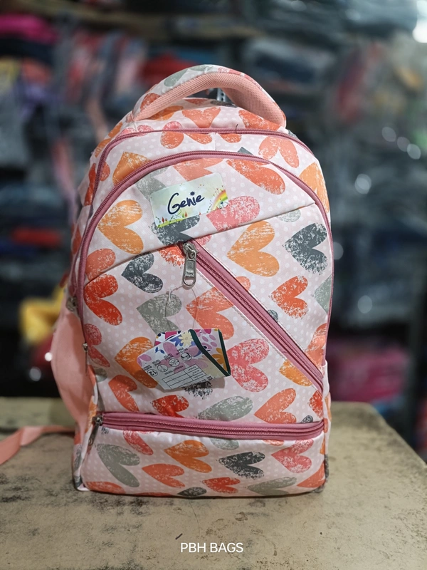 PBH P0190 18*16*6 Print Lower Padded Backpack - 18*16*6, New York Pink