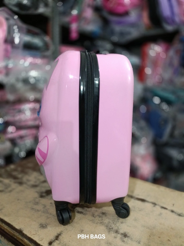 PBH P0301 20*14*8 Small Trolly Bags - 20*14*8, Can Can