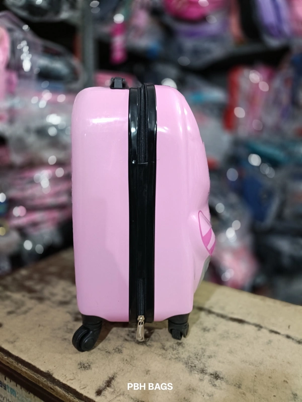 PBH P0301 20*14*8 Small Trolly Bags - 20*14*8, Can Can