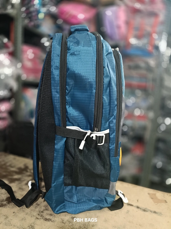 REEBOK PBH P062 22*14*10 Multiple Zips 25 liters Padded Travel Backpack - 22*14*10, Woodsmoke