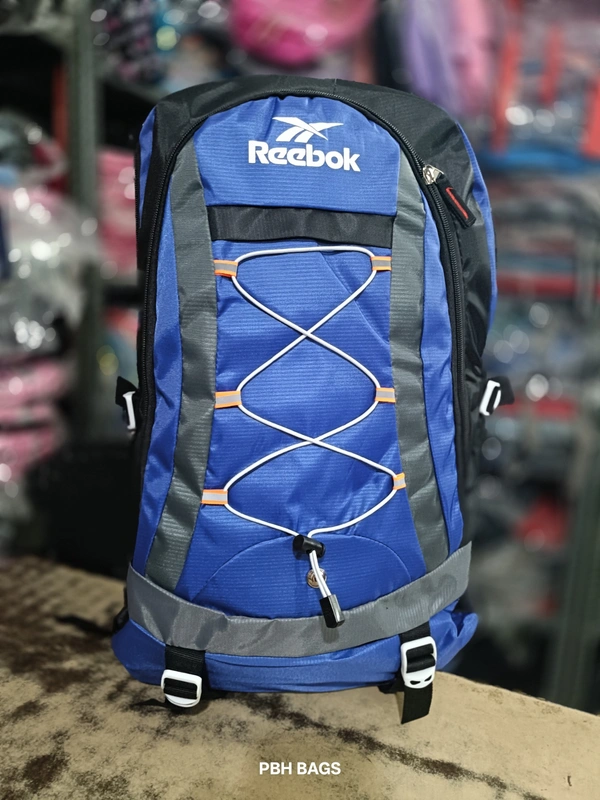 PBH P062 22*14*10 Multiple Zips 25 liters Padded Travel Backpack - 22*14*10, Havelock Blue