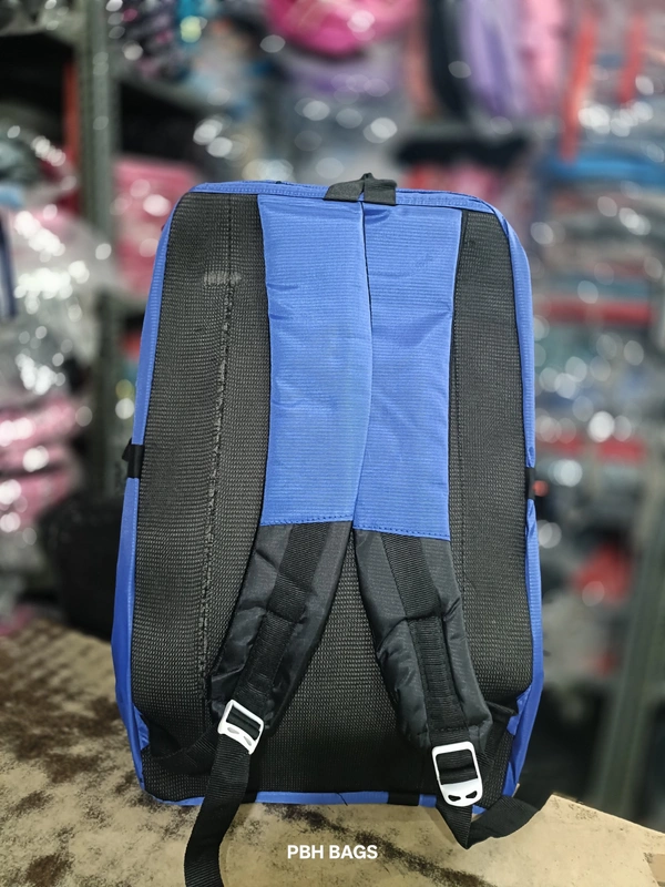 PBH P062 22*14*10 Multiple Zips 25 liters Padded Travel Backpack - 22*14*10, Havelock Blue