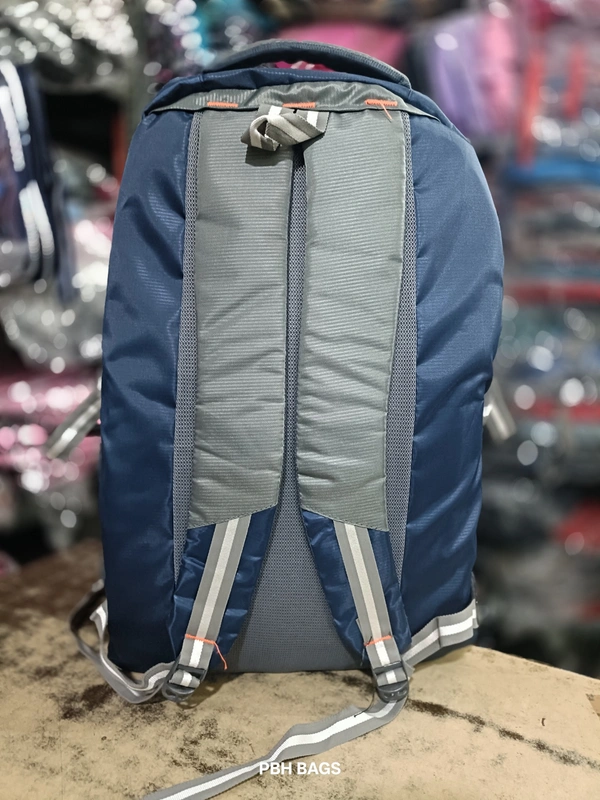 PBH P062 22*14*10 Multiple Zips 25 liters Padded Travel Backpack - 22*14*10, Violet