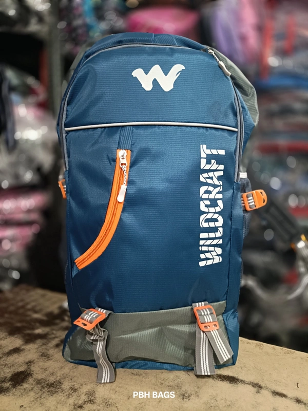 WILDCRAFT PBH P062 22*14*10 Multiple Zips 25 liters Padded Travel Backpack - 22*14*10, Deep Sea Green