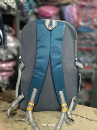 WILDCRAFT PBH P062 22*14*10 Multiple Zips 25 liters Padded Travel Backpack - 22*14*10, Deep Sea Green