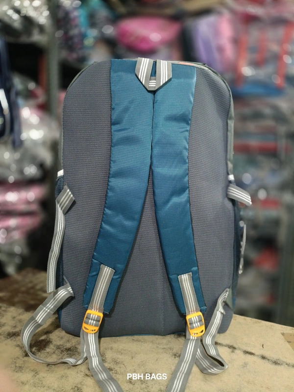 WILDCRAFT PBH P062 22*14*10 Multiple Zips 25 liters Padded Travel Backpack - 22*14*10, Deep Sea Green