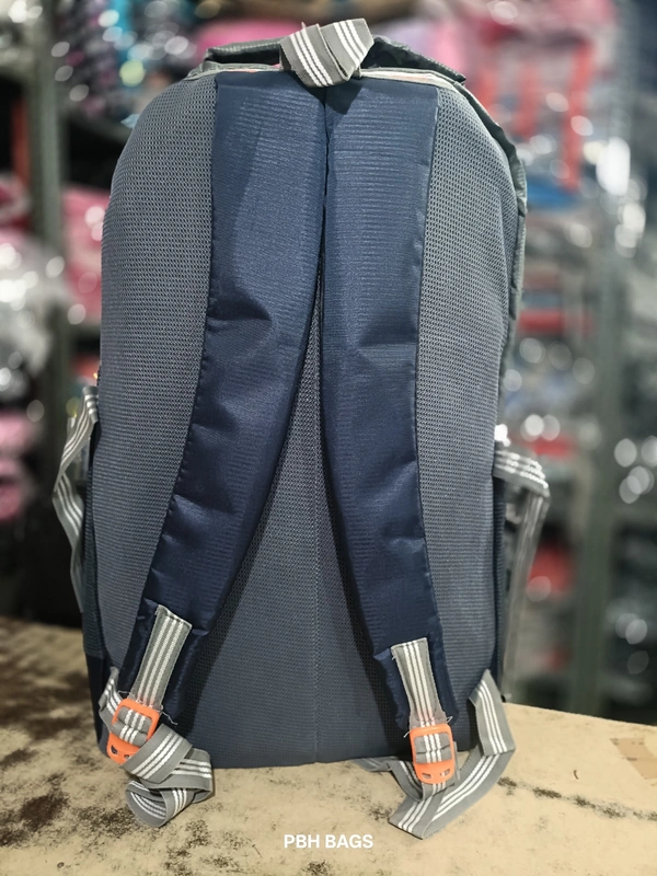 WILDCRAFT PBH P062 22*14*10 Multiple Zips 25 liters Padded Travel Backpack - 22*14*10, Deep Cove