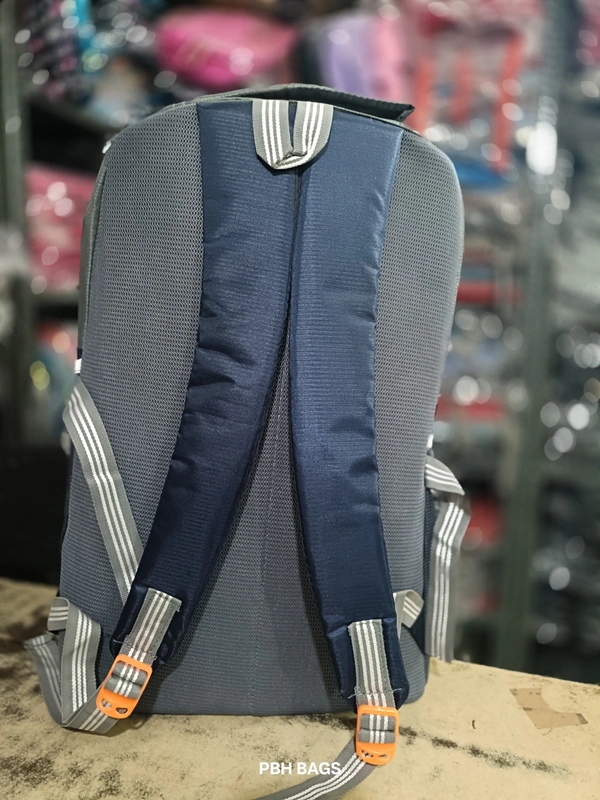 PBH P062 22*14*10 Multiple Zips 25 liters Padded Travel Backpack - 22*14*10, Deep Blue