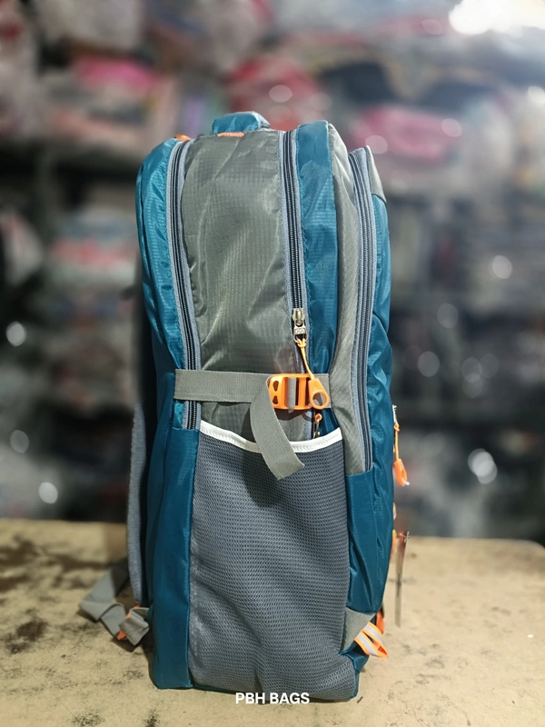 SAFARI PBH P062 22*14*10 Multiple Zips 25 liters Padded Travel Backpack - 24*14*10, Elm