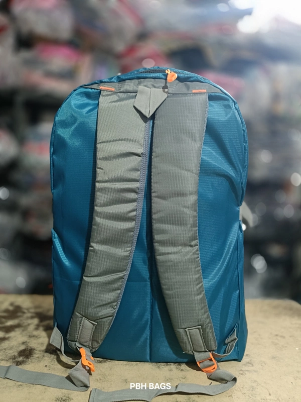 SAFARI PBH P062 22*14*10 Multiple Zips 25 liters Padded Travel Backpack - 24*14*10, Elm