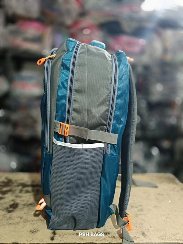 SAFARI PBH P062 22*14*10 Multiple Zips 25 liters Padded Travel Backpack - 24*14*10, Elm