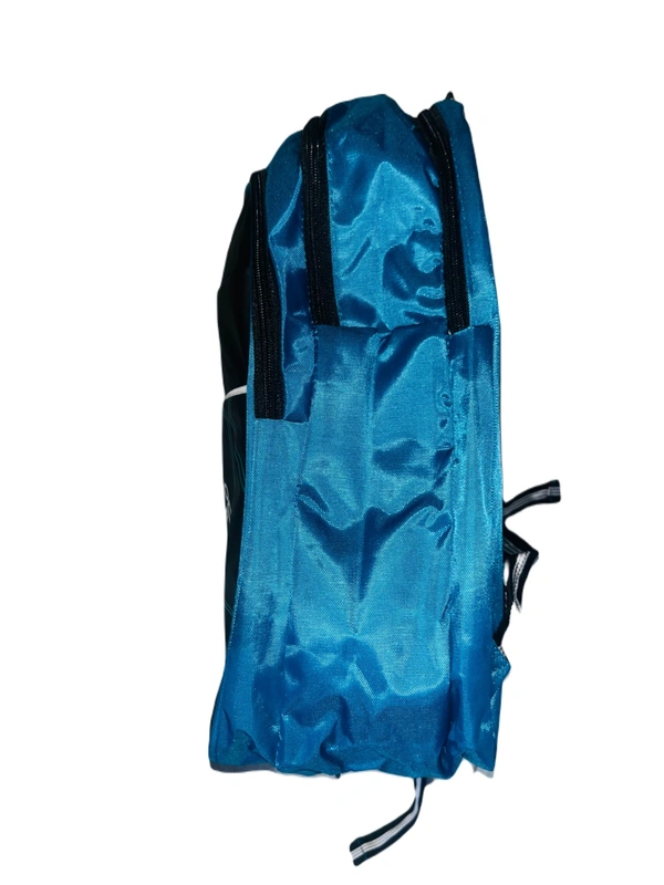 SAFARI P076 18*14*6 Laptop Pocket Backpack - 18*14*6, Ultramarine