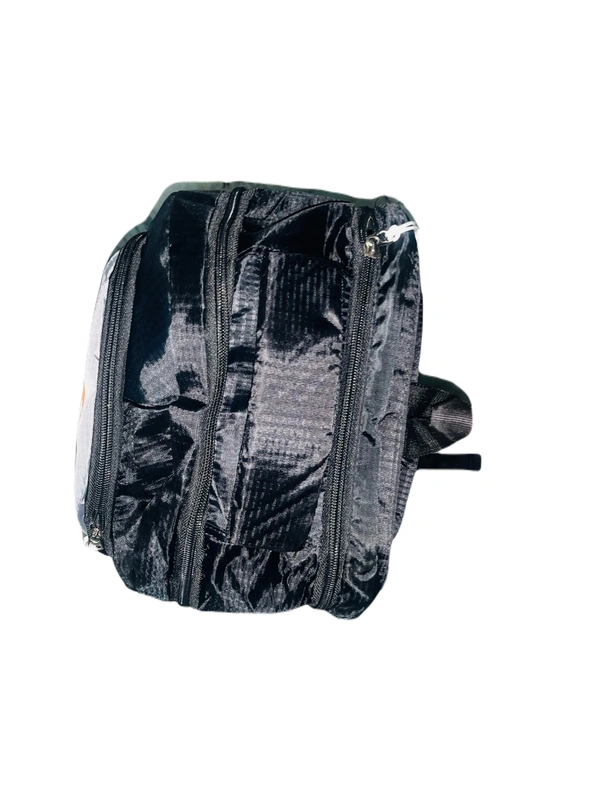 FASTRACK PBH P061 22*14*10 Multiple Zips 25 liters Padded Travel Backpack - 24*14*10, Black
