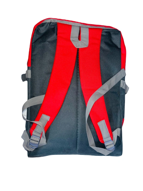 PBH P066 22*16*8 25 liters Padded Travel Backpack - 22*16*8, Gray