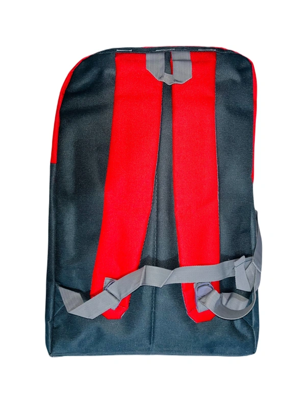 Tyconn PBH P067 22*16*8 25 liters Padded Travel Backpack - 22*16*8, Red