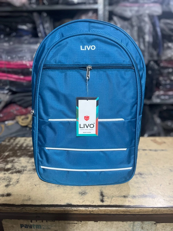 LIVO PBH P0137 18*14*8 Lower Padded LIVO Multi-Compartment Everyday Backpack - Madison, 18*14*8
